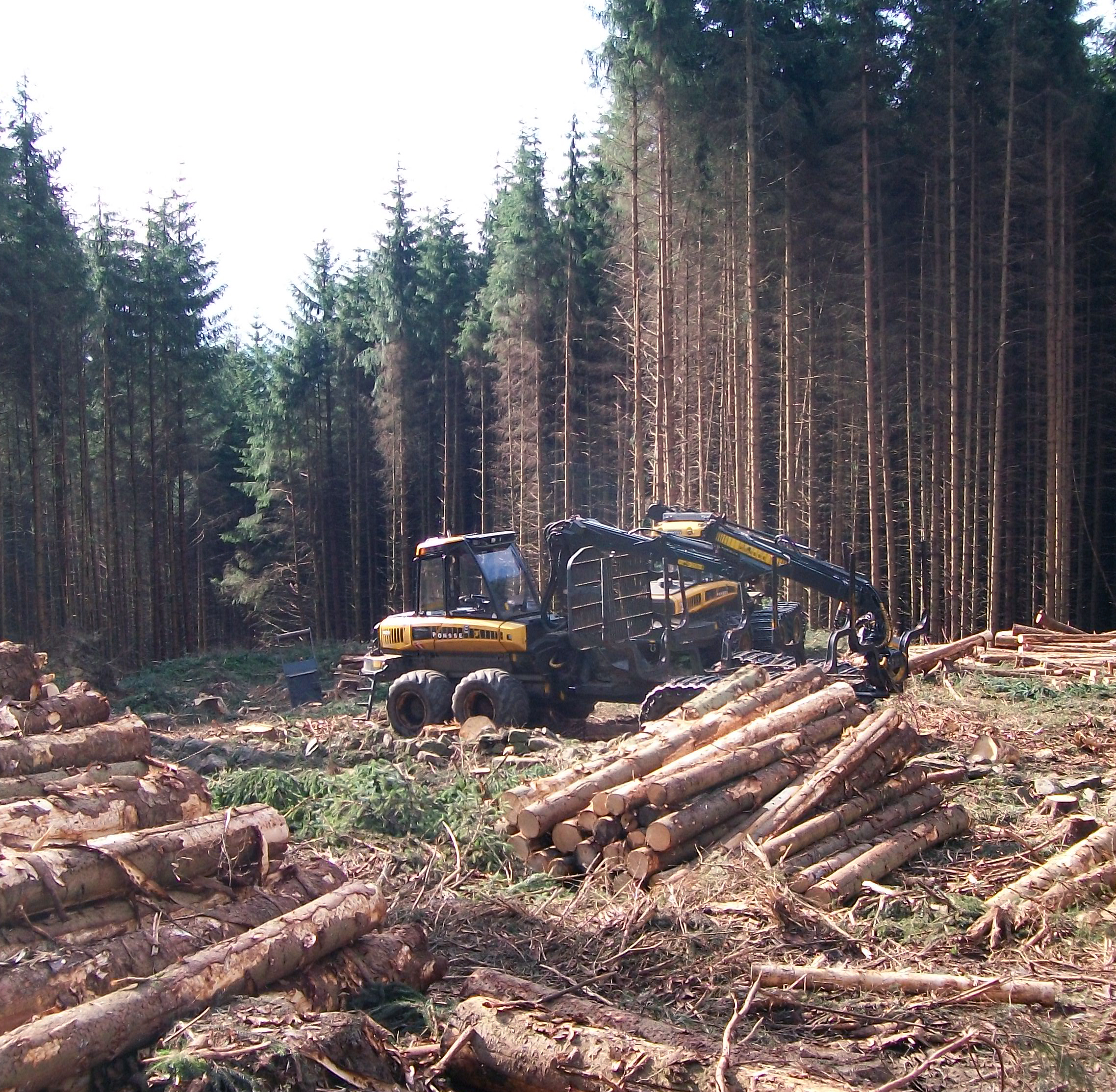 wood